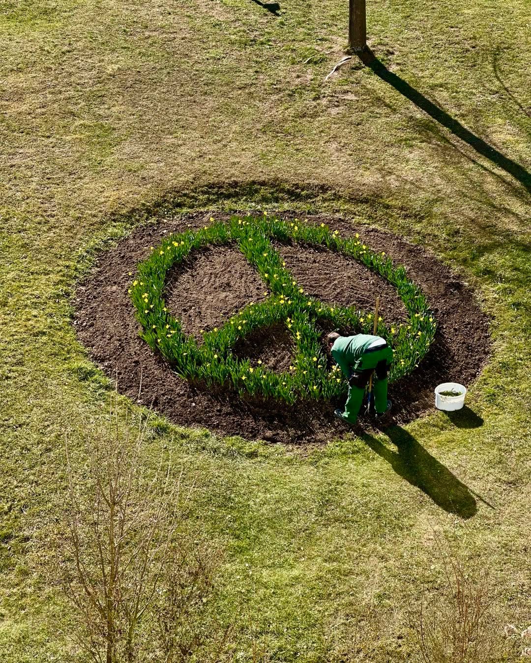 #wirsindblista #peace #sun #bluesky #spring # Campus #menatwork